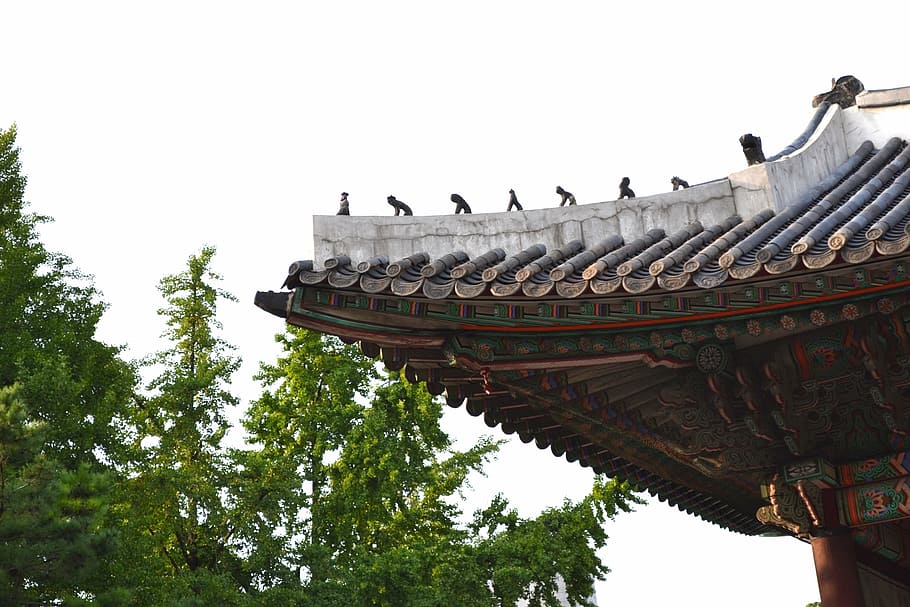 brown, gray, temple, tree, daytime, roof tile, virtue kotobuki shrine, seoul, forbidden city, old school