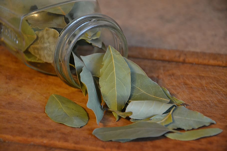 closeup, green, ovate, leaves, clear, glass jar, laurel, bay leaf, spice, kitchen