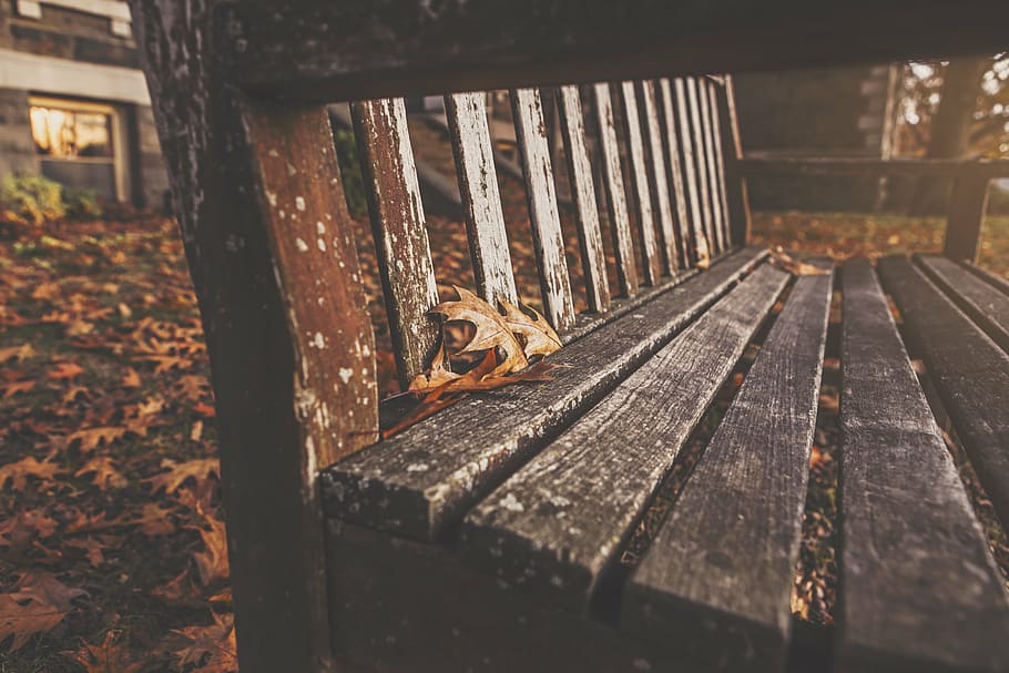 wooden, bench, autumn, close, four, dried, maple, leaves, top, black