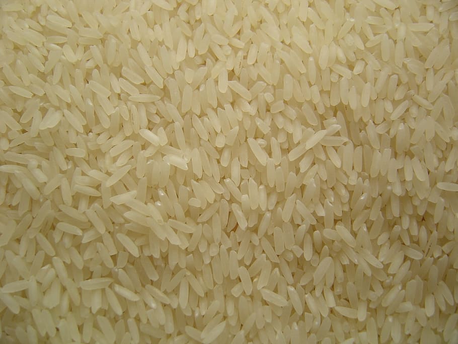 grãos de arroz, arroz, branco, cru, grãos, cereais, alimentos, carboidratos, basmati, close-up