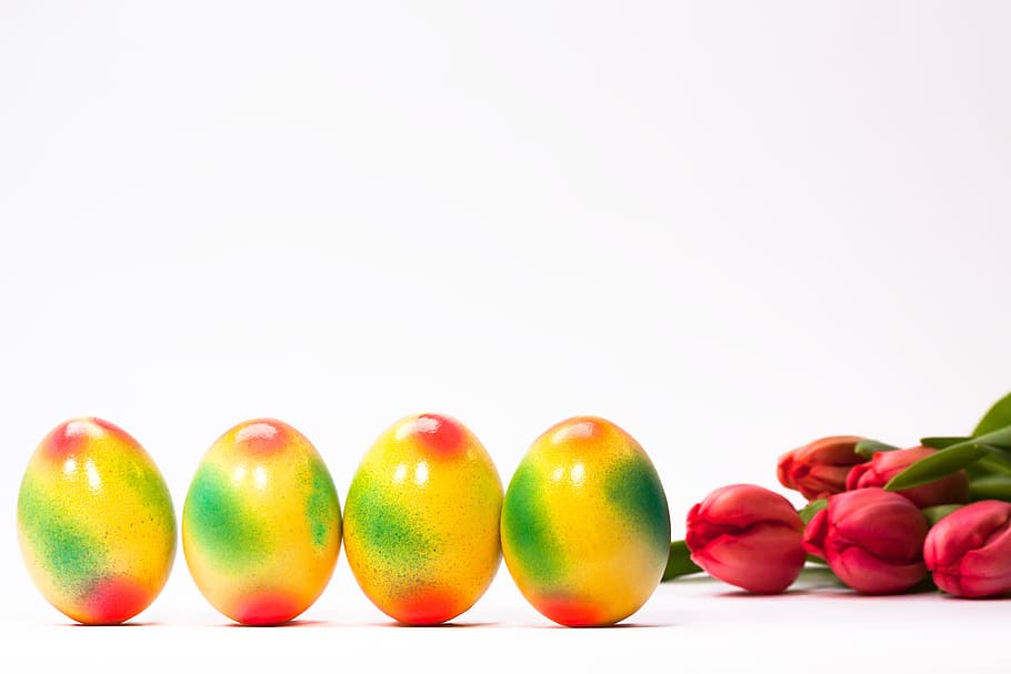 four yellow-red-and-green eggs, easter egg, egg, spring, frühlingsanfang, spring awakening, easter, flower, tulip, colorful