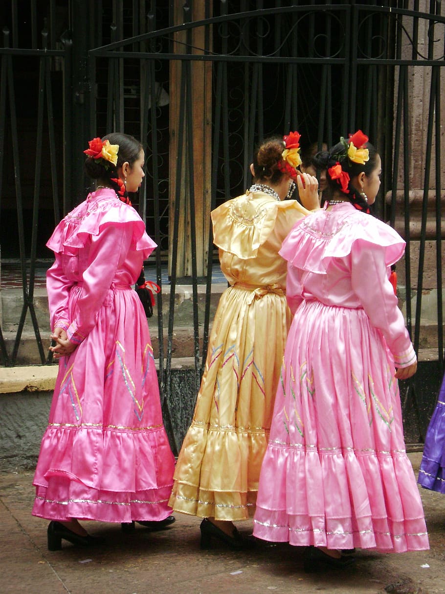 服を着たフォーク, ダンザフォークロリカ, 伝統的な, 衣類, 全身, 女性, 実在の人々, 人々のグループ, ピンク色, 背面図
