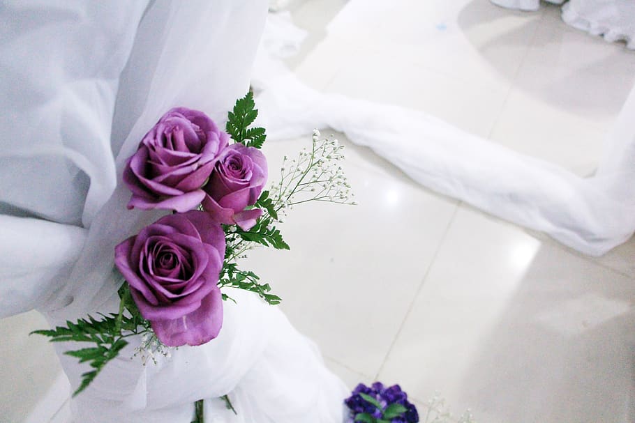 rosa, wedding, white, purple, flower, background, love, decoration, marriage, flowering plant