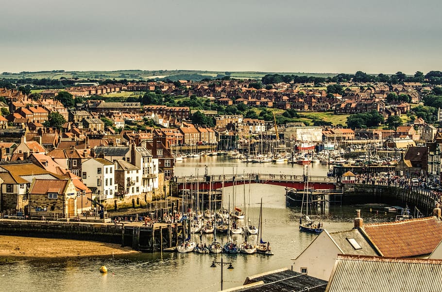 coast, town, city, abbey, seaside, north, seafront, england, whitby, sea