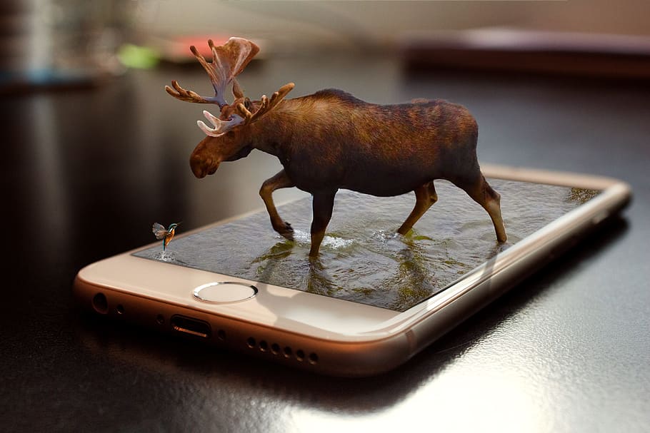 silver iphone 6, iphone, moose, retouch, 3d, remix, phone, water, smart phone, touch screen