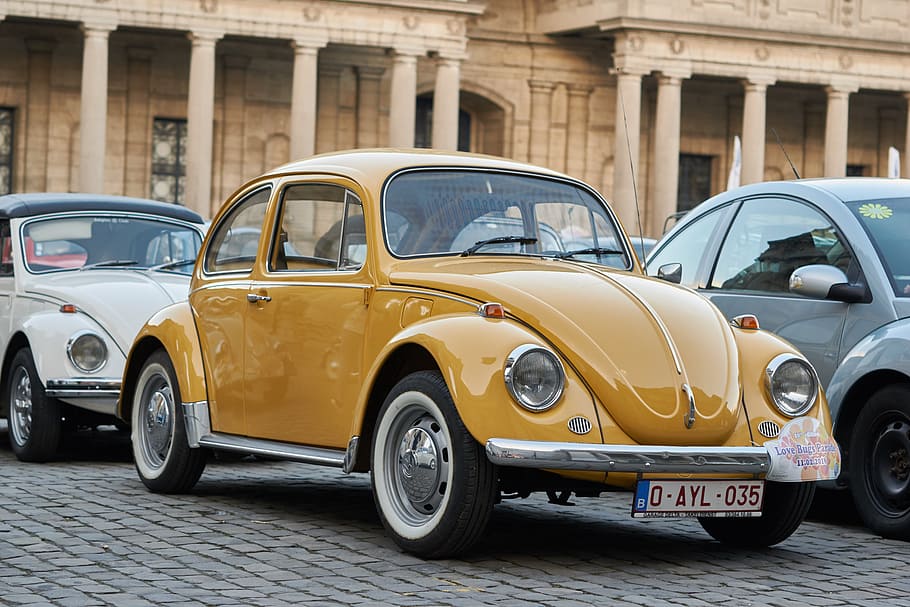 volkswagen beetle, parked, outdoor, daytime, car, vehicle, transport, classic, volkswagen, beetle