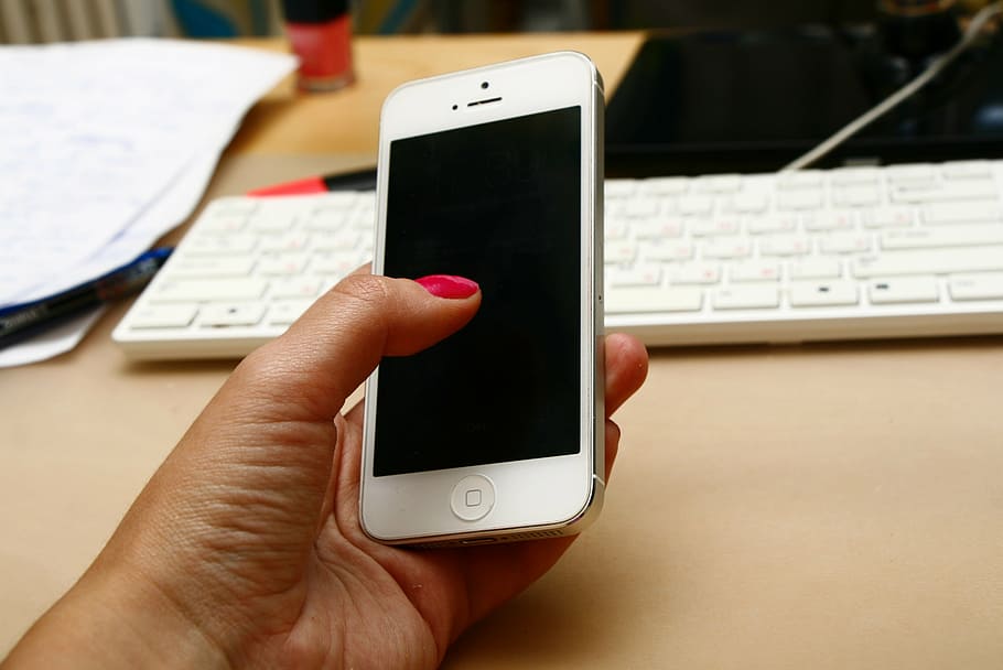person, holding, white, iphone 5, cellphone, iphone, hand with telephone, phone, at work, technology