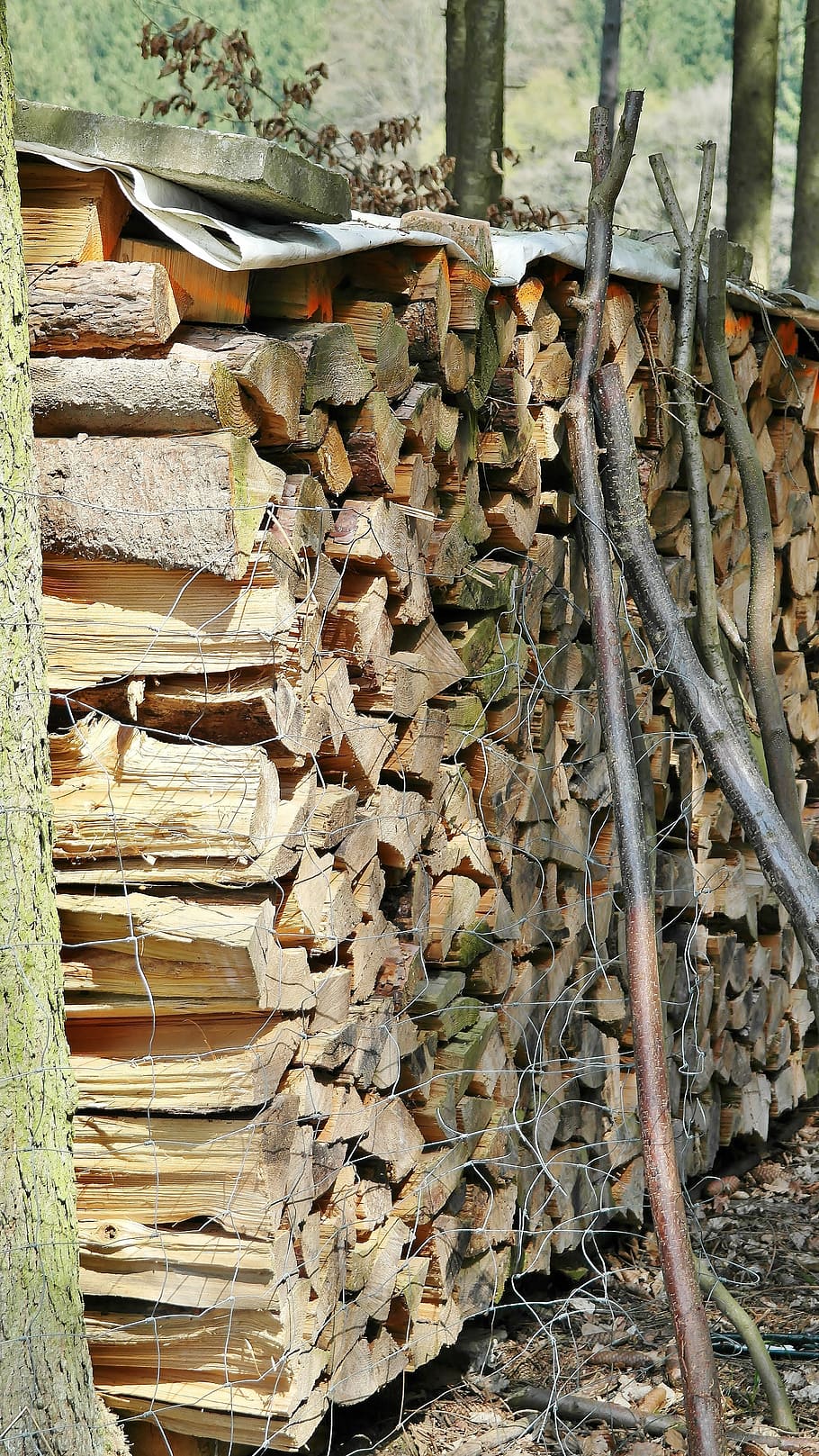 kayu, holzstapel, batang pohon, kehutanan, log, menebang, penebang pohon, strain, kayu bakar, penebangan
