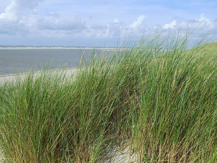 sand beach, sand, sea, langeoog, north sea, beach chair, dune, water, holiday, holidays