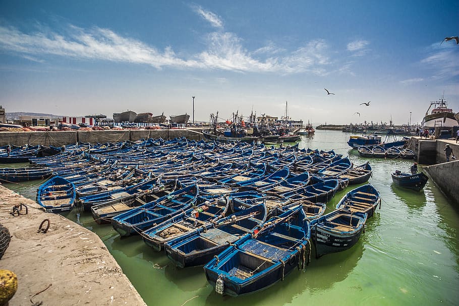 azul, lote de botes, agua, Marruecos, barco, ciudad, color, puerto, pueblo, barcos fluviales