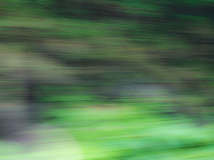 Motion Blur, Trees, black, blur, green, motion, Abstract, Nature, backgrounds, defocused