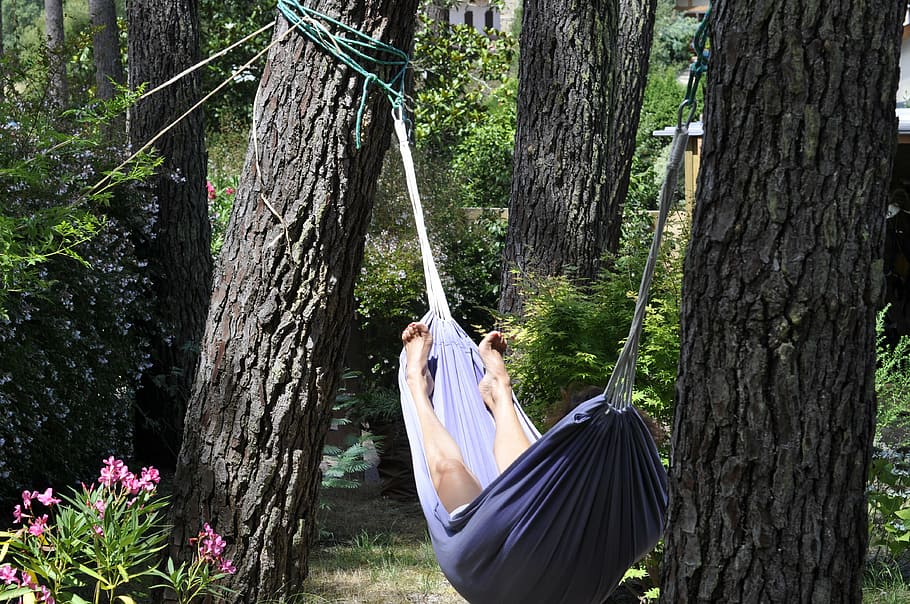 person, lying, blue, hammock, nap, idleness, relaxation, plant, tree, tree trunk