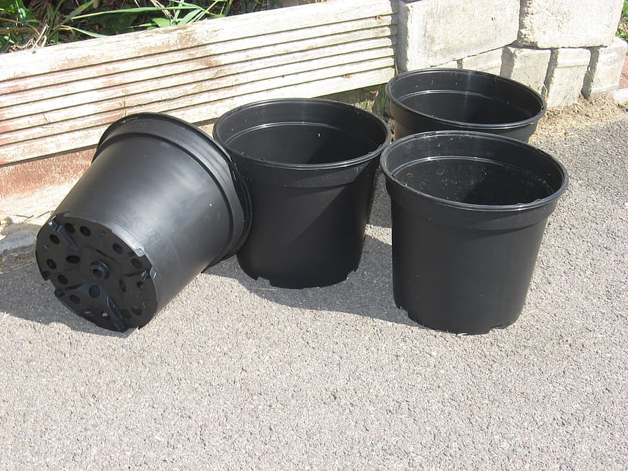 Flower, Pots, Plant Pot, Gardening, flower pots, botany, potted, container, horticulture, planting