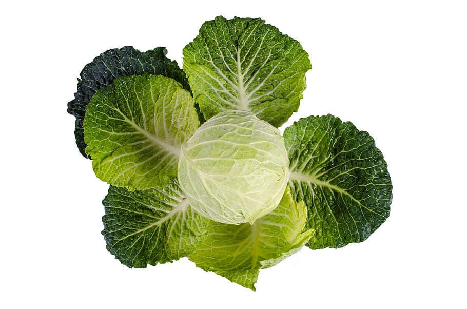 cabbage vegetable, cabbage, vegetable, kale, green, white, plant, isolated, vegetarian, foliage