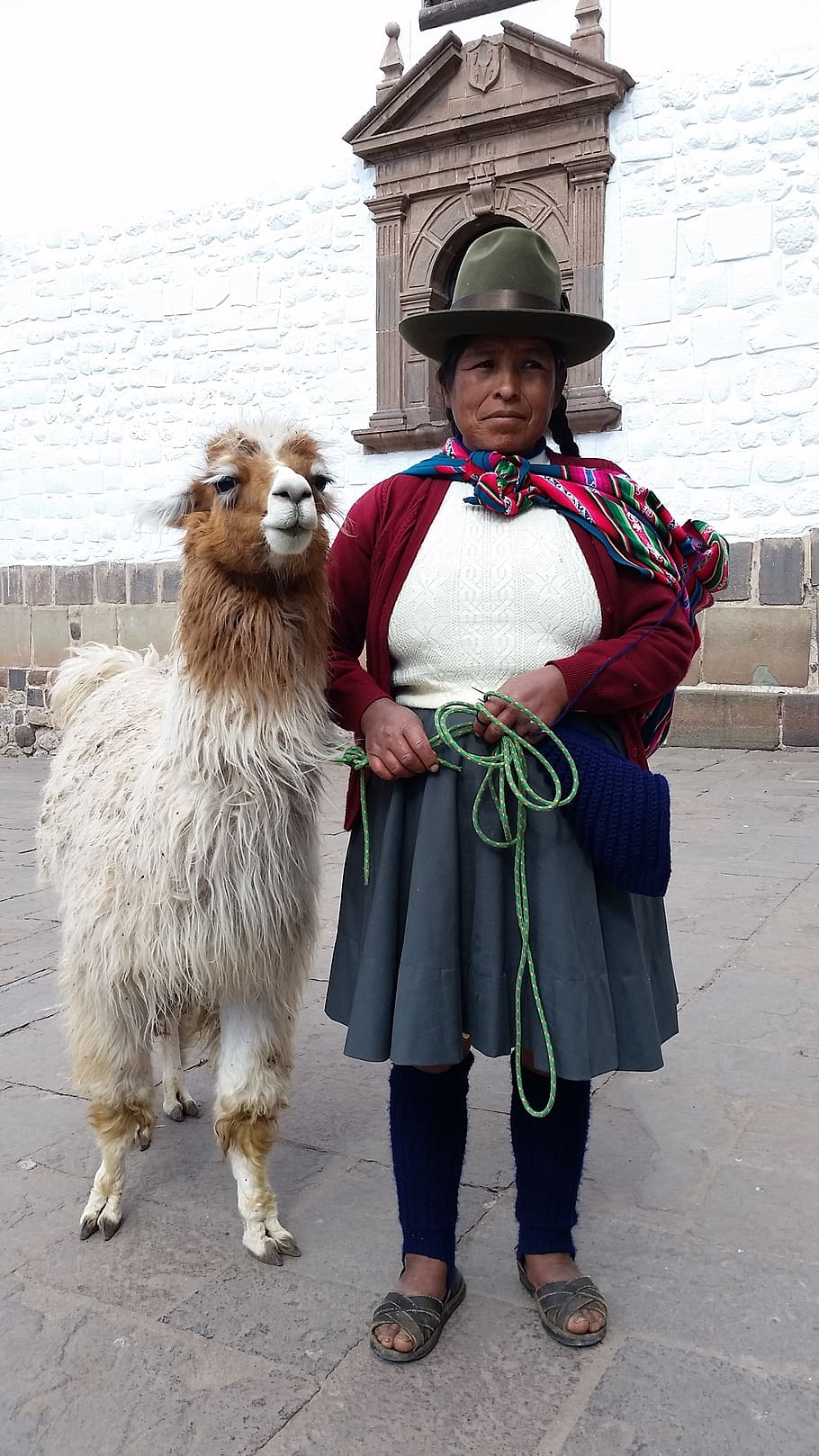 peru, cusco, south, america, llama, city, history, tourism, picchu, machu