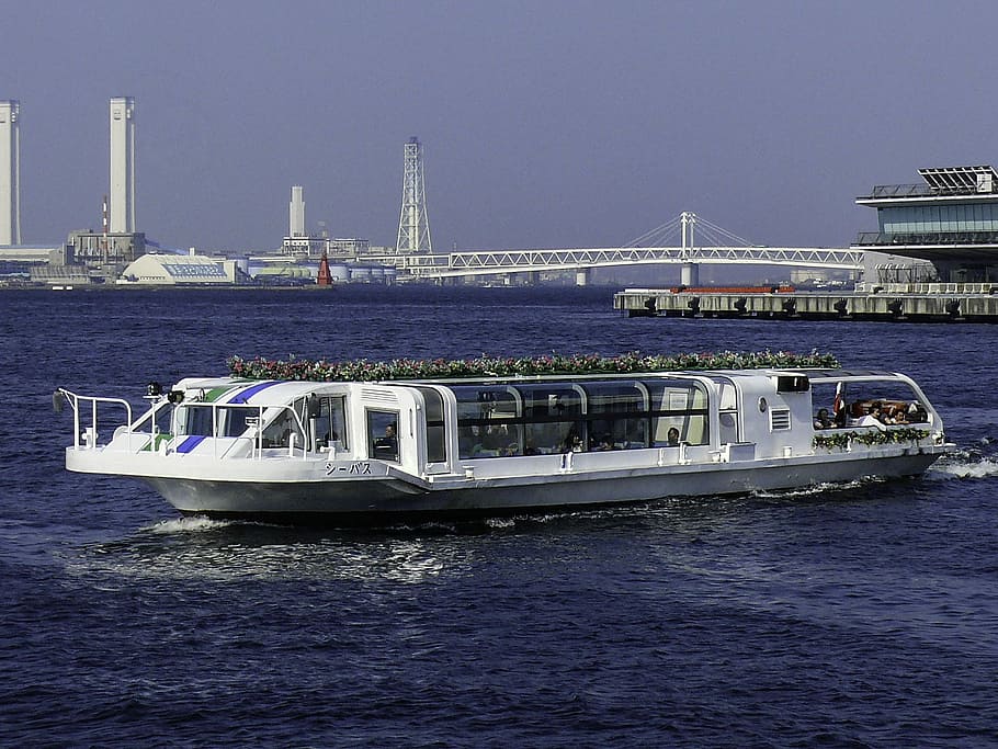 seabass transport, japan, Seabass, transport, Yokohama, Japan, boat, city, ocean, public domain, ship