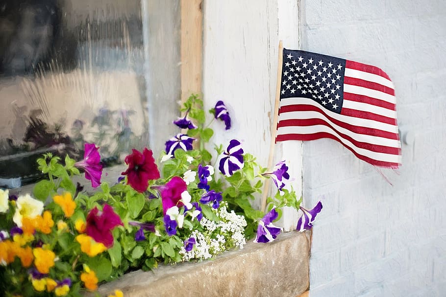 pink, purple, petunia flowers, usa flag, fourth of july, flowers, flower box, window, patriotism, american