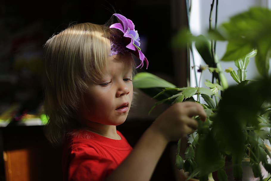 toddler touching plant, Kids, Daughter, Orchid, Flower, orchid, flower, happiness, love, baby, views
