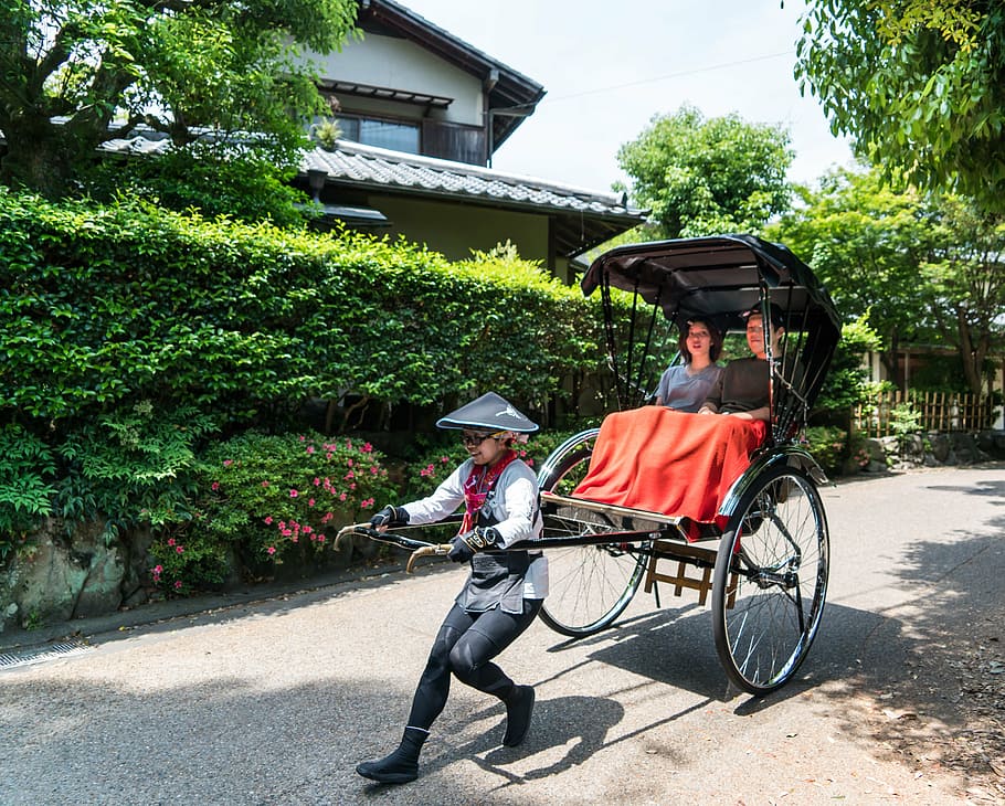 hombre, tirando, carro, mujeres, equitación, Japón, arashiyama, bosque de bambú, rickshaw, personas
