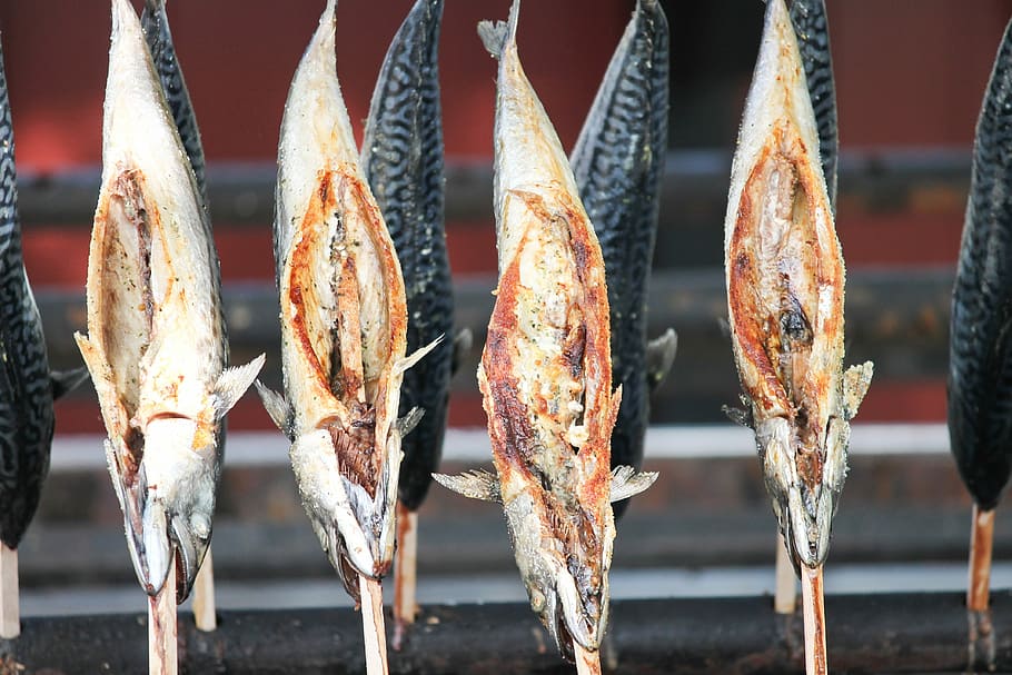 peixe de quatro grelhados, truta defumada, truta, peixe, grelha, grelhado, frito, cuspir, no espeto, cabeça de peixe