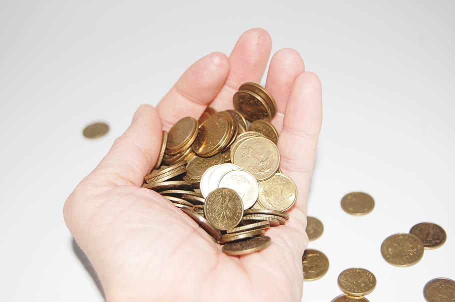person, holding, round gold-colored coins, money, money in hand, safe, coins, payment, currency, finance