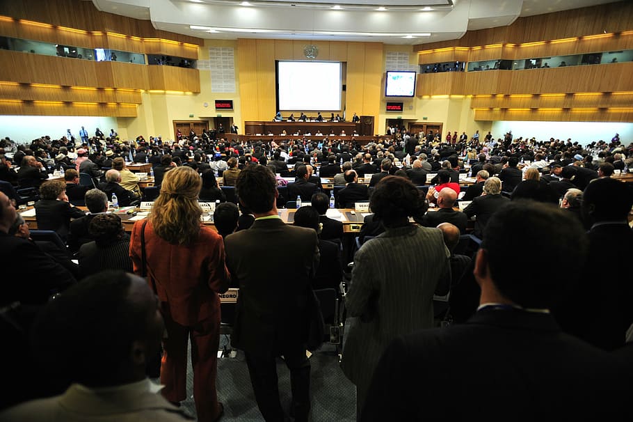 group, people, brown, wooden, room, meeting, addis ababa, ethiopia, hall, conference