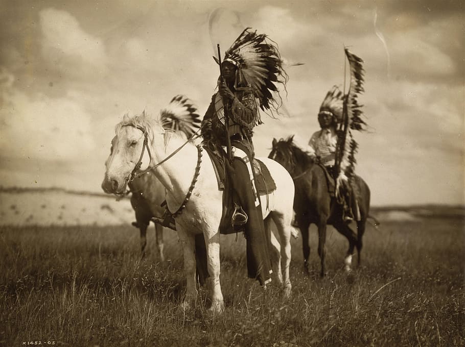 три, родной, американцы, верховая езда, лошадь, зеленый, фотография поля травы, коренные американцы, зеленая трава, поле травы