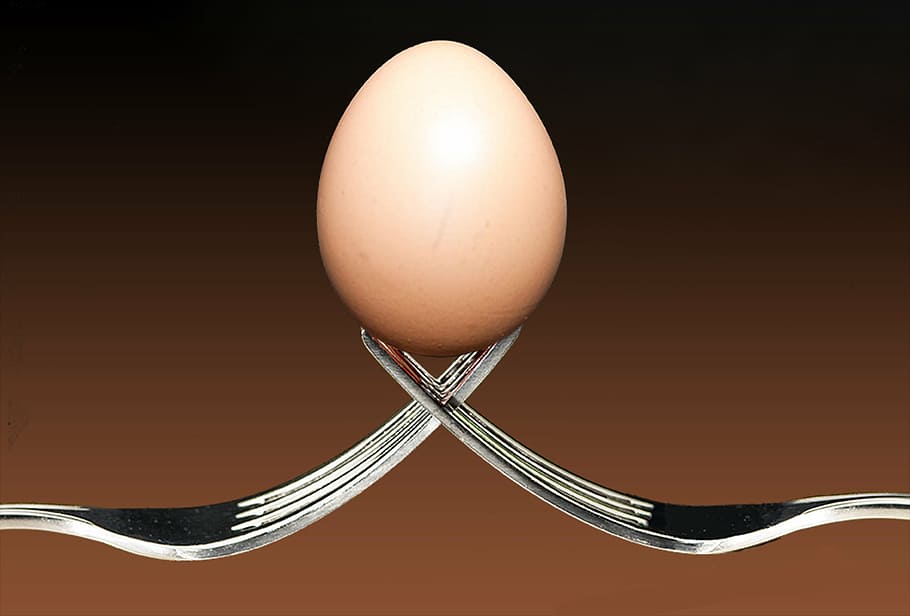 brown, egg, gray, stainless, steel forks, forks, food, macro, close-up, time