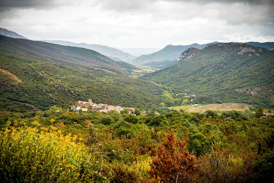 Carcasona, Aude, país cátaro, altos corbières, montaña, pintorescos - naturaleza, belleza en la naturaleza, medio ambiente, planta, paisaje