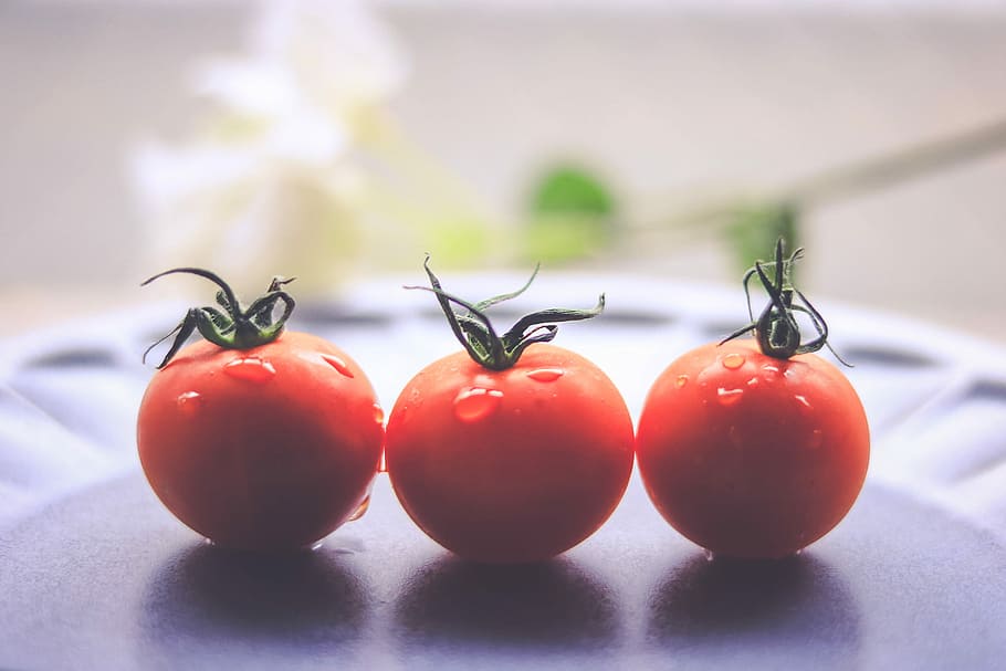 three orange tomatoes, orange, tomatoes, tomato, food, red, vegetable, freshness, ripe, close-up