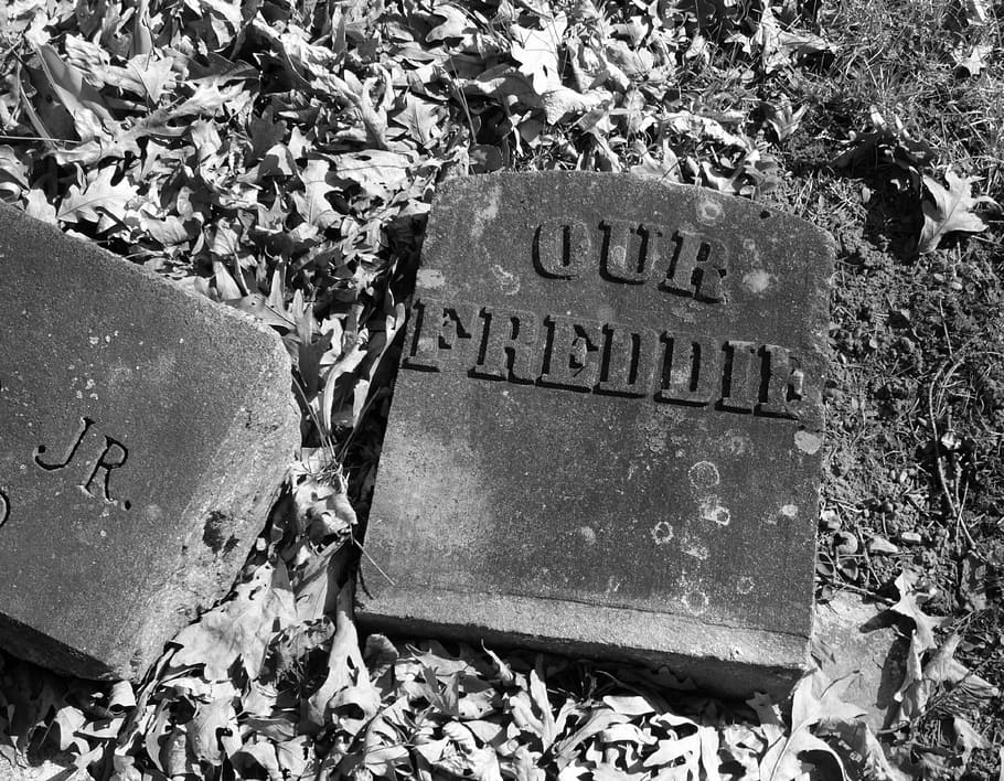 Broken, Tombstone, Headstone, Grave, graveyard, cemetery, leaves, freddie, stone, black white