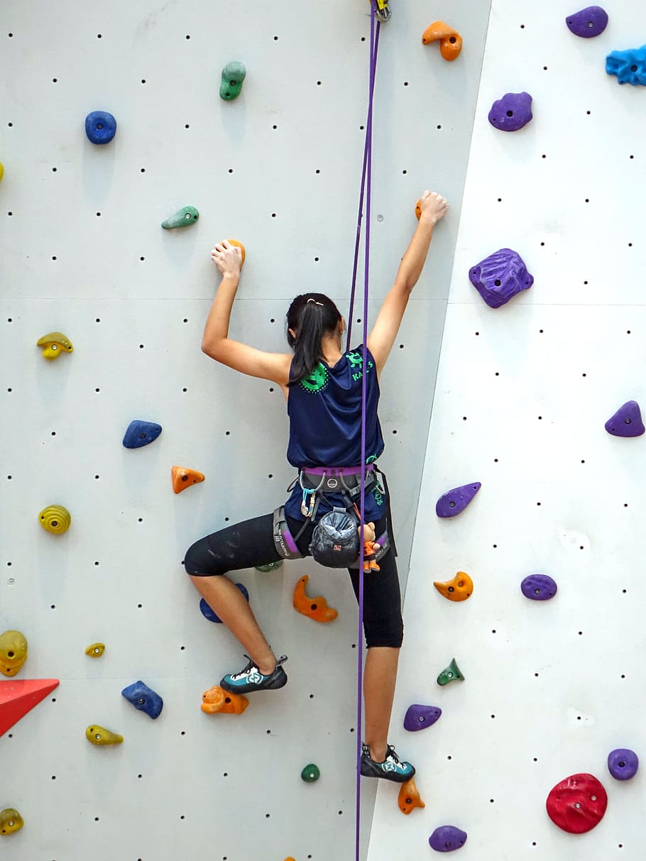 woman, indoor, wall, climbing, rope, rappelling, rock, extreme, sport, activity
