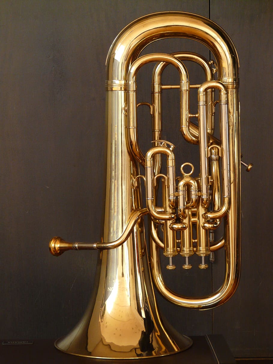 brass colored tuba, Euphonium, Bugle, Brass Instrument, instrument, pump valves, gloss, gold, play, blow