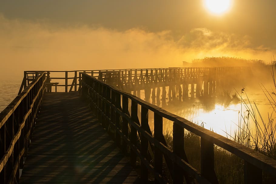 brown, wooden, dock, sun, spring lake, sunrise, fog, mist, ghostly, back light