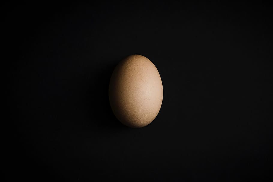 Ovo, escuro, mínimo, minimalista, simples, simplista, comida, animal Ovo, ovos, orgânicos
