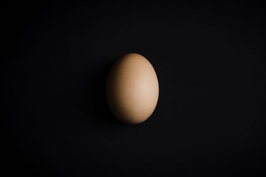 poultry egg, raw, egg, shell, easter, black background, healthy eating, food, studio shot, food and drink