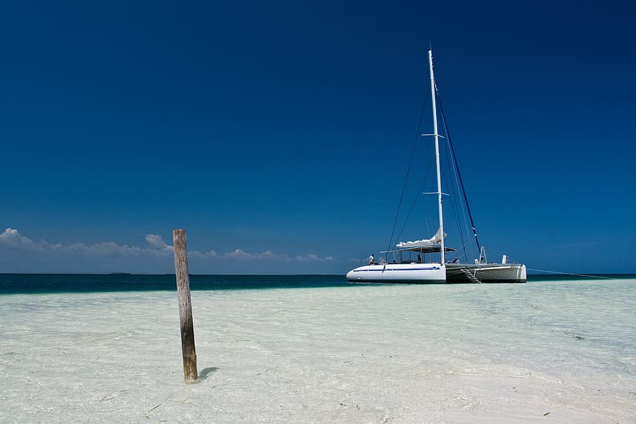 barco catamarã, ilha de cayo blanco, catamarã, barco, Caribe, Cayo, Blanco, ilha, Cuba, natureza
