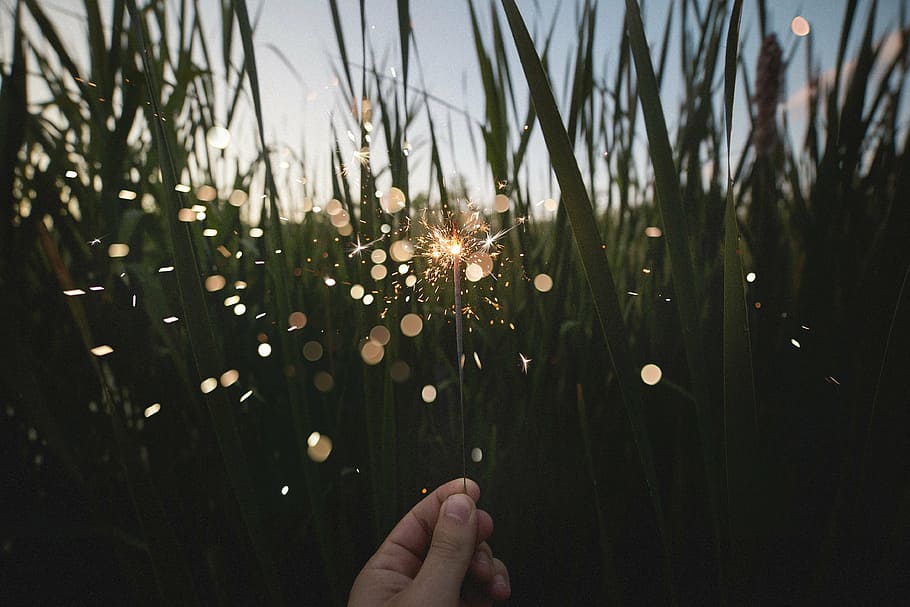 person, holding, firework, stick, close, sparkling, near, green, rees, nature