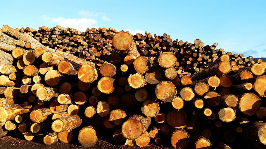 lumber, sky, wood, pile, timber, raw, material, log, lumber industry, firewood