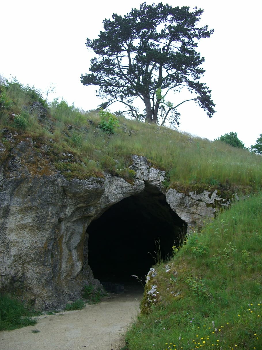 bird stove cave, lonetal, karst cave, input, stetten, niederstotzingen, swabian alb, cave, cave entrance, hill
