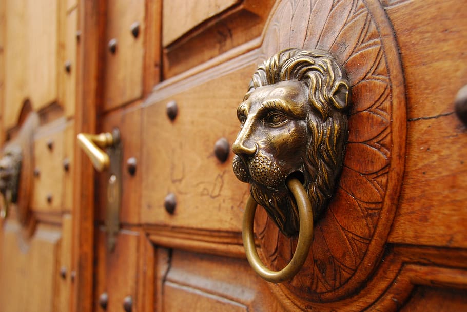 close, photography, wooden, door, tiger door knocker, wood, lion, old door, house entrance, goal