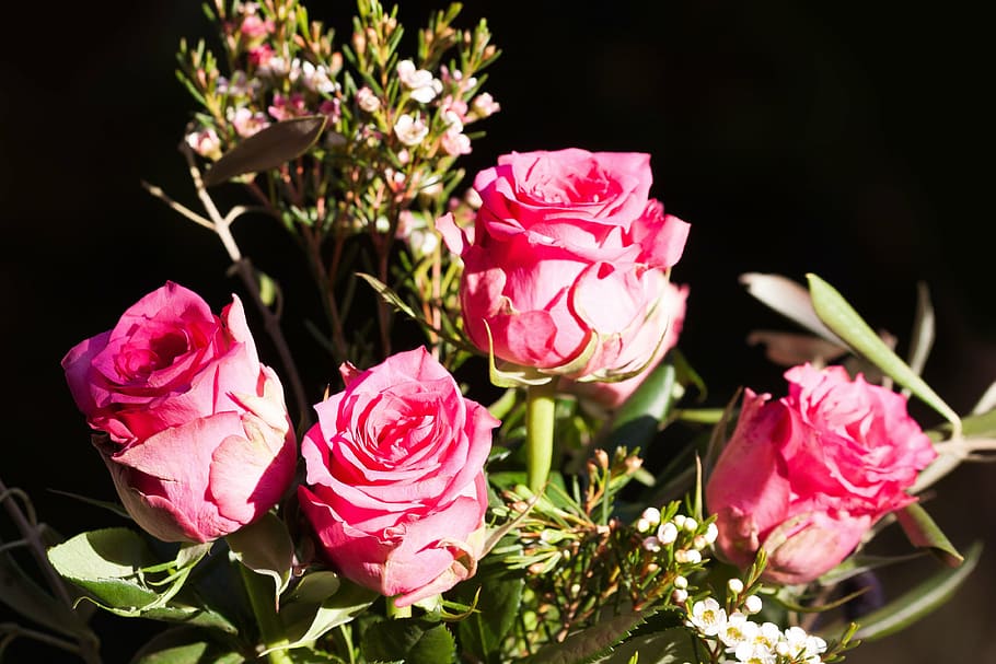 rose, bouquet, composites, blossom, bloom, autumn, nature, erika, plant, pink