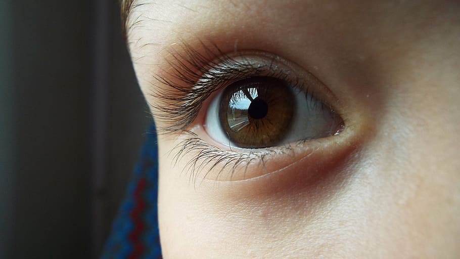 right person's eye, eye, brown, brown eyes, iris, beauty, girl, pictures, children's eyes, optics