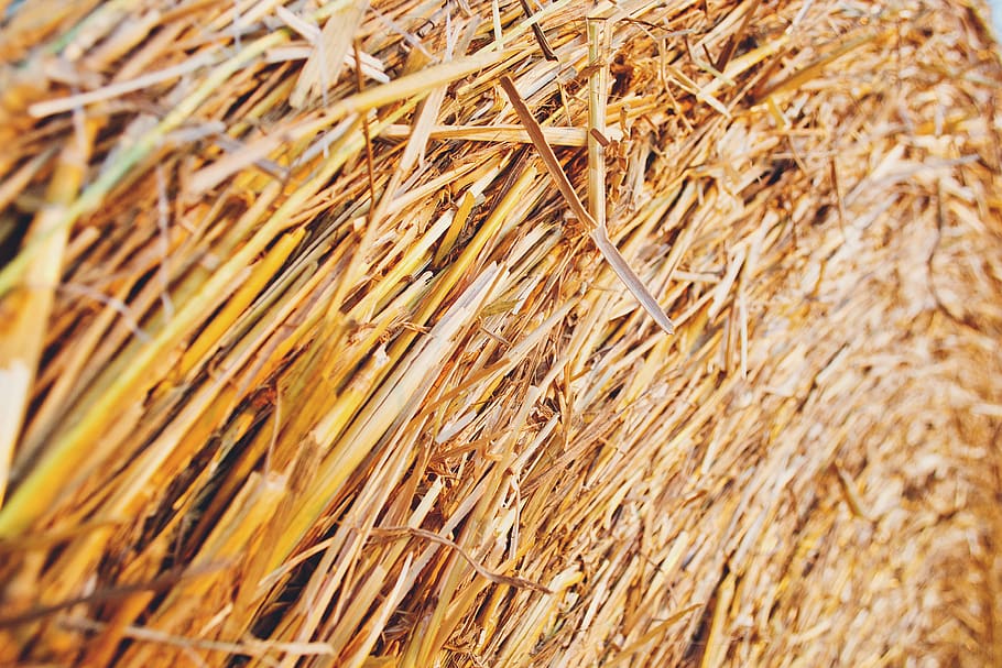 haystack, hay, farm, nature, backgrounds, full frame, close-up, selective focus, brown, day