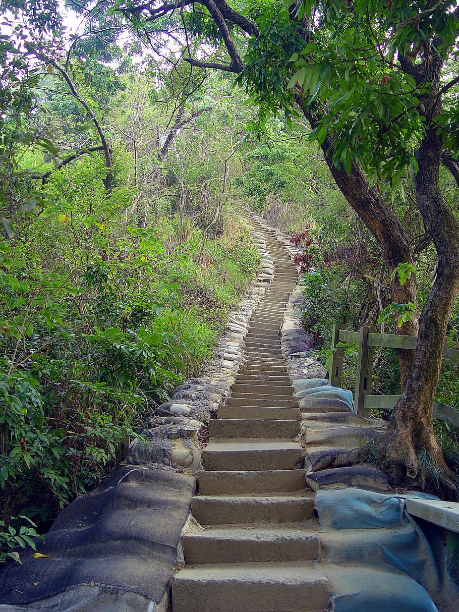 Escada, Trilha, Verde, Montanha, árvore, ao ar livre, natureza, dia, ninguém, o caminho a seguir