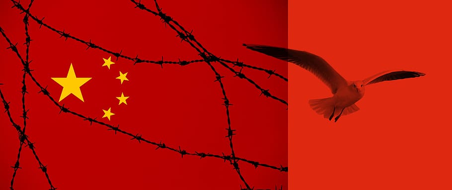 china, flag, barbed wire, dom, seagull, human rights, people's republic of, communist party, right, red