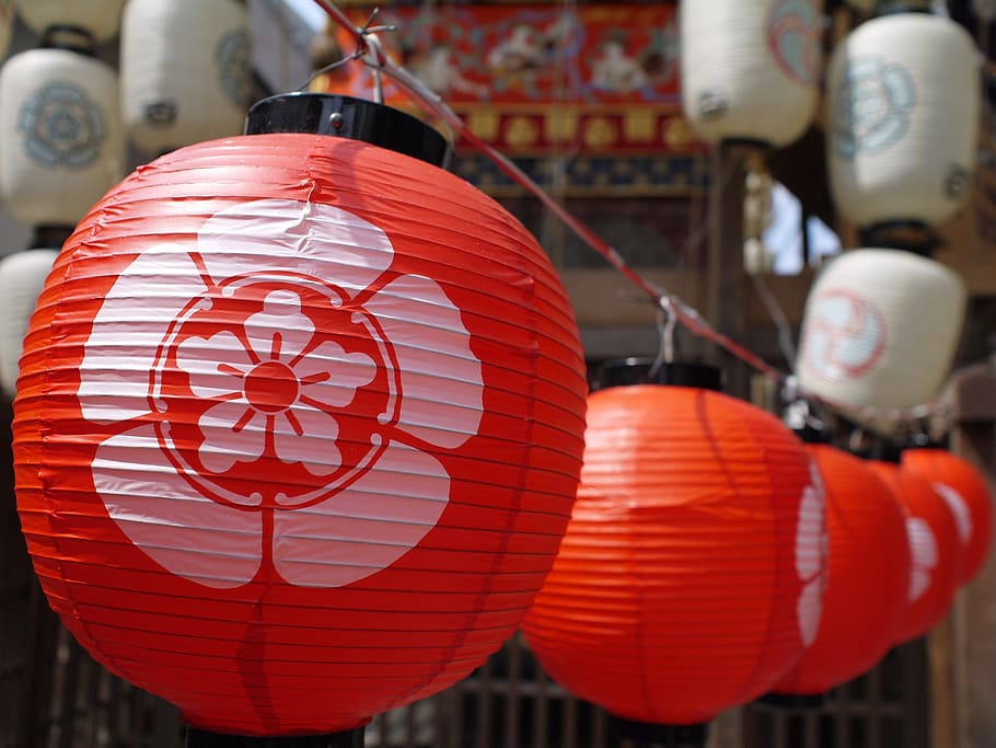 red, lanterns, hanged, string, japan, festival, summer, kyoto, paper lantern, tradition