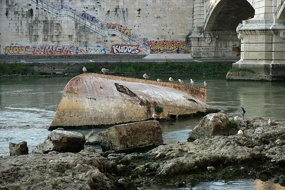 rome, wreck, tiber, river, italy, bridge, gulls, dirty, pollution, old town