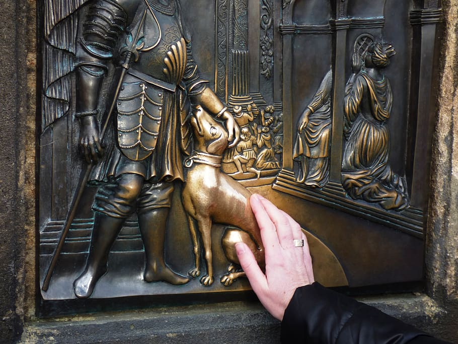 the hand, hand, dog, pat, pats, gold, doggy, superstition, hands, closeup