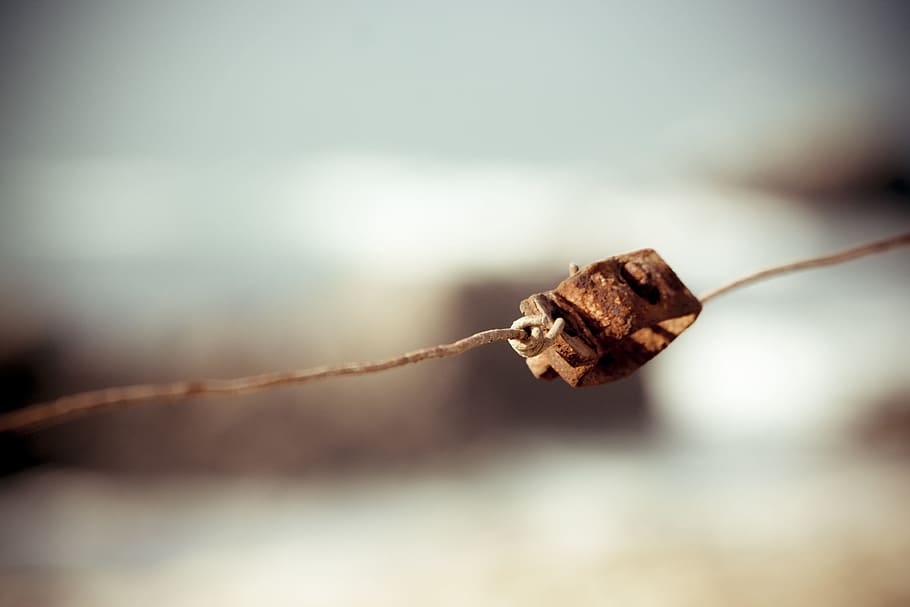 still, items, rust, steel, string, held, bokeh, focus on foreground, close-up, plant